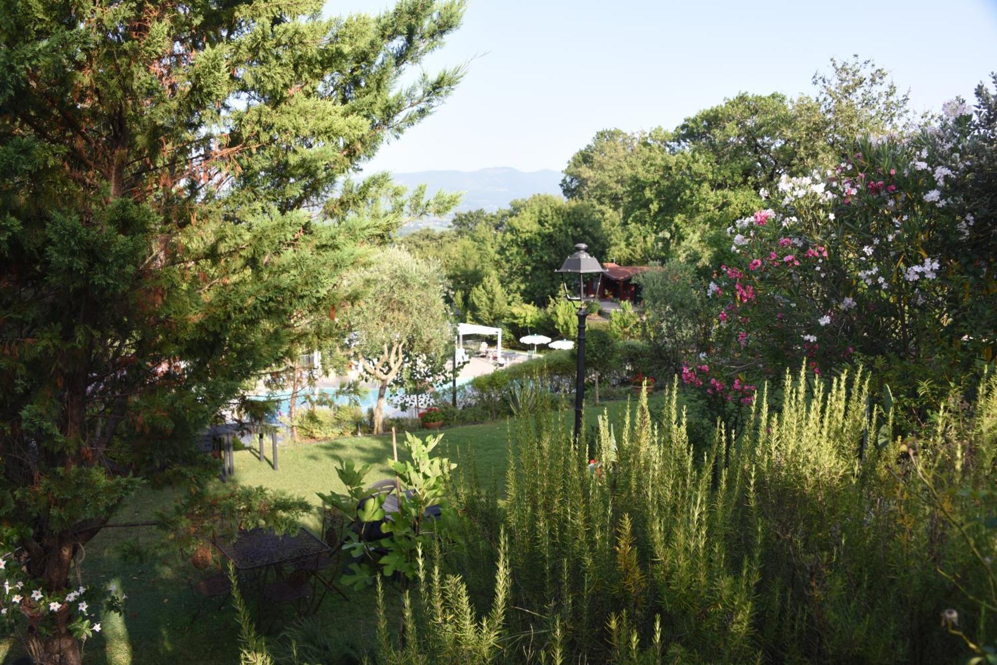 Bosco D'Olmi Country House Panzió Sant'Andrea del Garigliano Kültér fotó